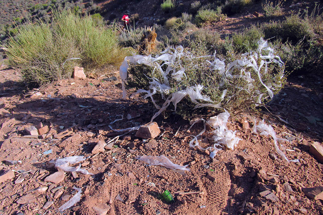 Plásticos y otros desechos dañan la flora en Lovell Canyon, 15 de julio durante la “Latino Conservartion Week”. | Fotos Cortesía Sierra Club.