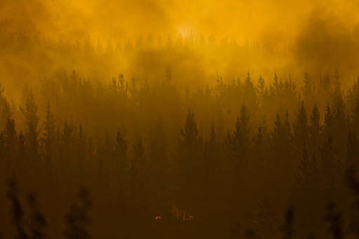 En esta foto del 21 de enero del 2017, se ve el incendio forestal en la región de Pumanque, Chile, que sufre uno de los peores y devastadores incendios de su historia. (AP Photo/Esteban Felix).
