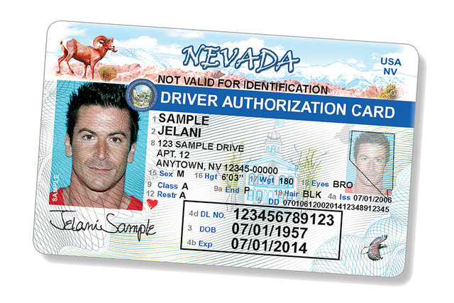 Muestra de una licencia de conducir de NV. (Foto cortesía DMV).