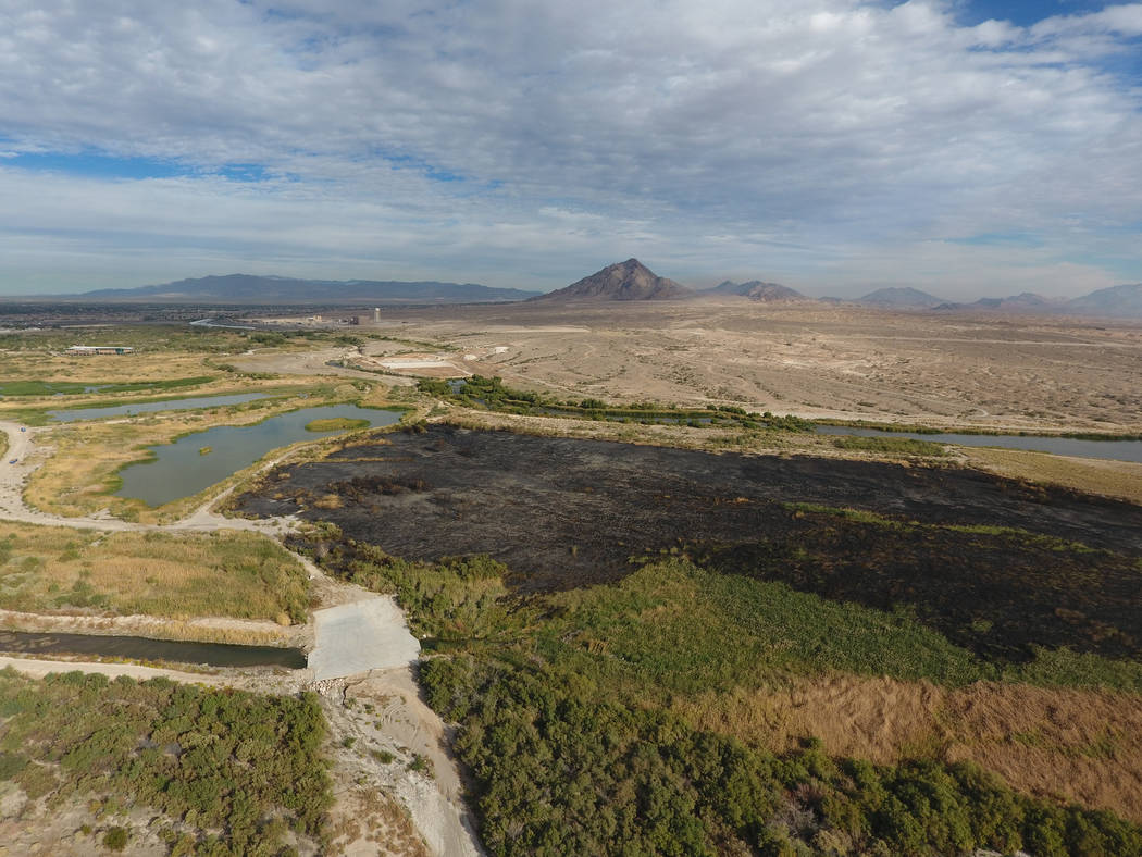 Alrededor de 10 a 12 hectáreas del Clark County Wetlands Park cerca del estadio Sam Boyd fueron carbonizados por un incendio el lunes 6 de noviembre de 2017 en Las Vegas. Michael Quine / Las Vega ...