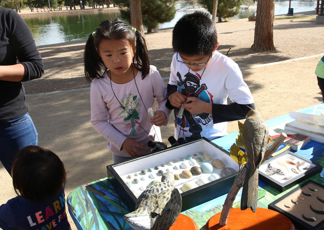 Ally Chen, 7, izquierda, y Edison Zhang, 9, observan huevos de aves comunes en América del Norte durante el Día Internacional de Aves Migratorias el martes 21 de noviembre de 2017 en Sunset Park ...