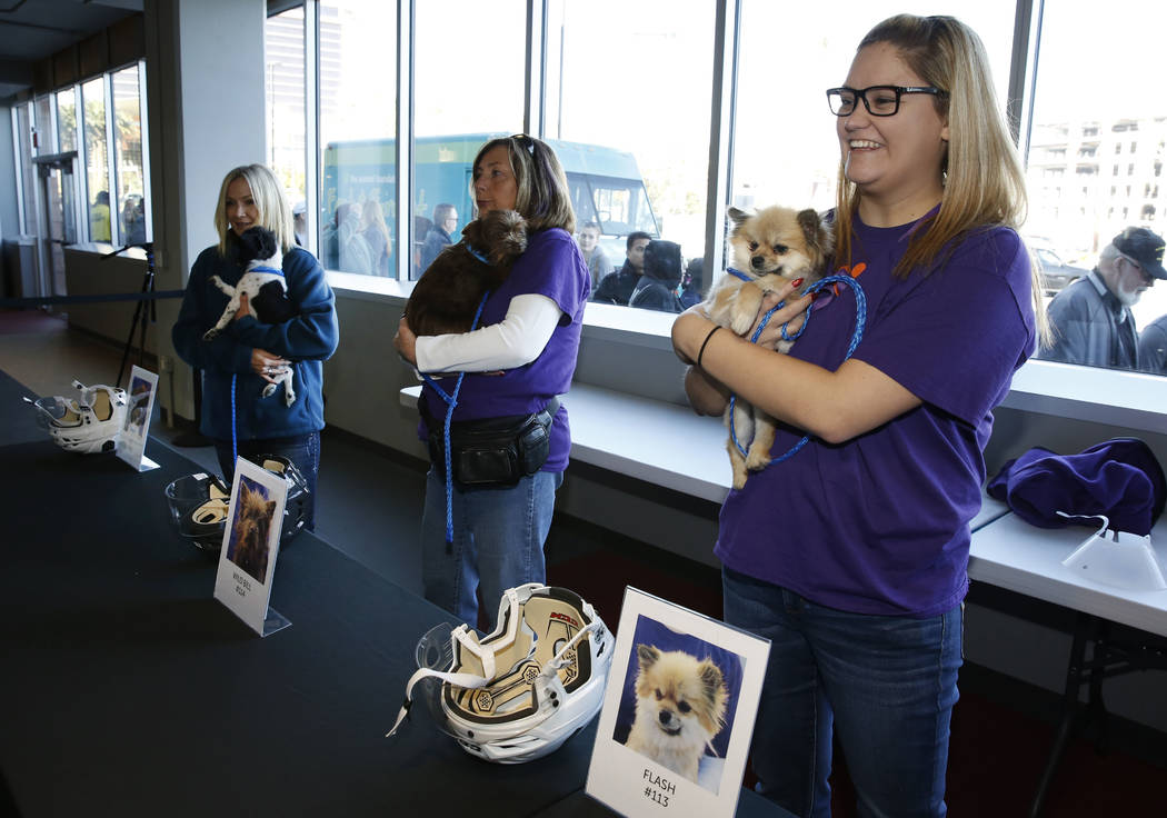 Los voluntarios, incluido Sydney Yanez, a la derecha, sostienen perros en City National Arena el lunes, 18 de diciembre de 2017, en Las Vegas. Vegas Golden Knights y Animal Foundation realizaron u ...