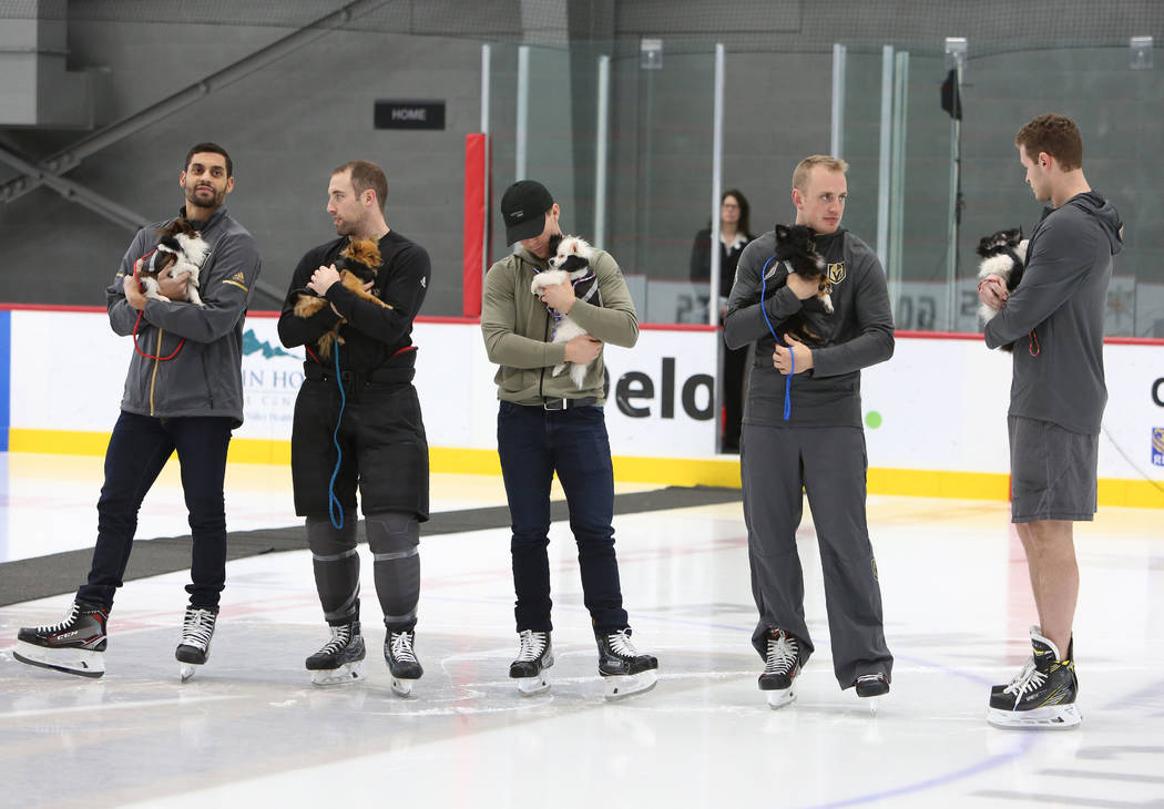 Los Vegas Golden Knights Pierre-Edouard Bellemare, a la izquierda, Brad Hunt, Jonathan Marchessault, Nate Schmidt, Brayden McNabb, a la derecha, sostienen perros Pomerania durante la subasta en Ci ...
