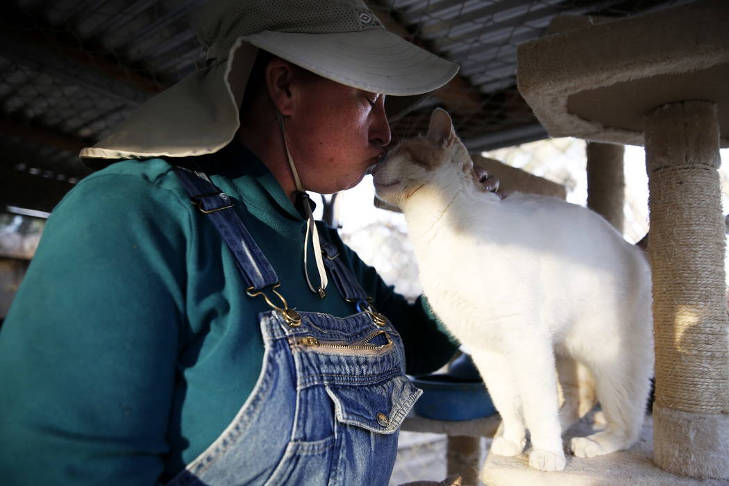 Kelly Trobaugh, presidenta de Barn Buddies Rescue, le da un beso a un gato después de colocar mantas calientes en el recinto de gatos en Barn Buddies Rescue en The Farm en Las Vegas el domingo 18 ...