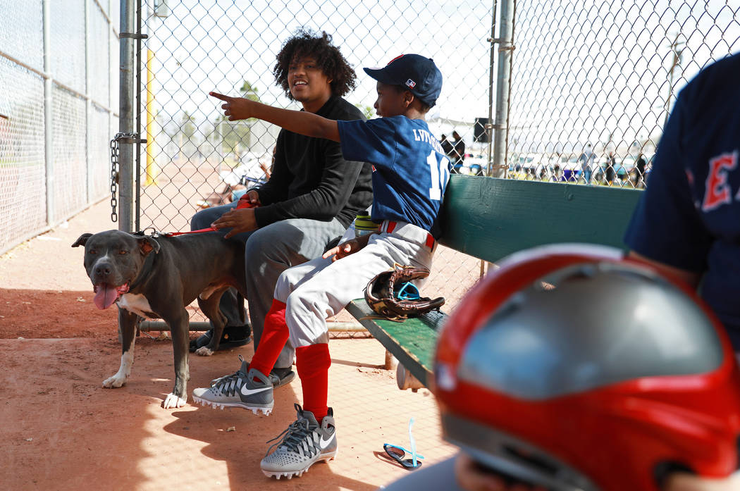 Antuan Smith y su pitbull llamado Pappa se sientan junto a Jamarion Lewis, a la derecha, durante el Día Inaugural de la Pequeña Liga de Bolden en el Doolittle Field en Las Vegas el sábado 7 de  ...