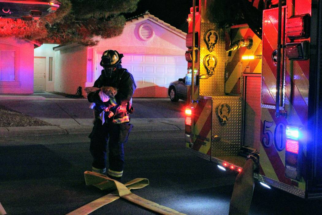 Un bombero de North Las Vegas saca un gato de la casa el lunes por la mañana después de un incendio en 5920 N. Vista Del Rancho Way. (Max Michor / Las Vegas Review-Journal)