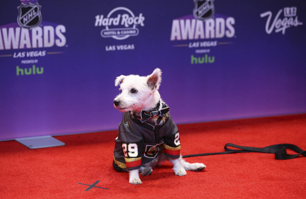 Bark-André Furry posa en la alfombra roja antes de los Premios NHL en el Hard Rock Hotel de Las Vegas el miércoles 20 de junio de 2018. Chase Stevens Las Vegas Review-Journal @csstevensphoto