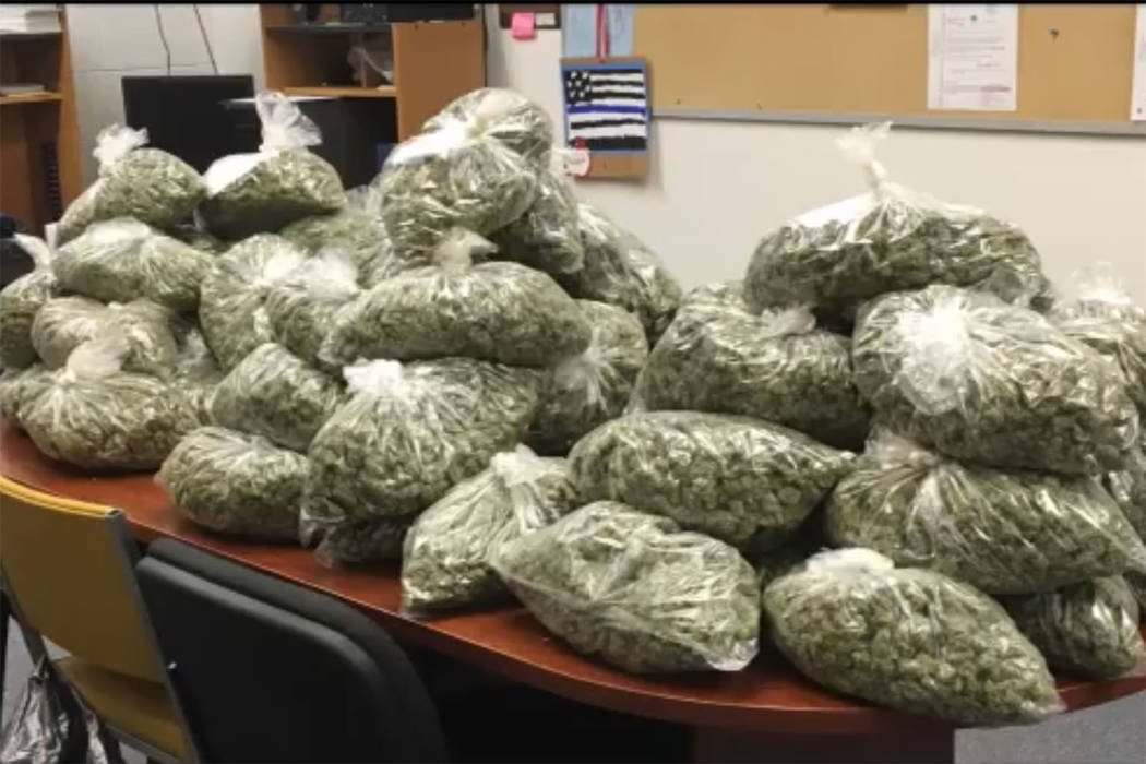 La Oficina del Sheriff del Condado de Nye incautó más de $20 millones en marihuana cultivada ilegalmente en septiembre. (Oficina del Sheriff del Condado de Nye / Facebook)