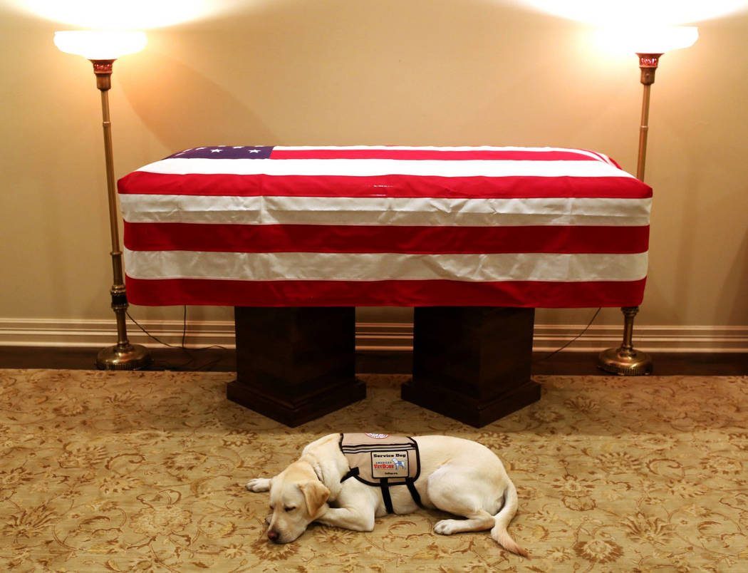 Sully, el perro del presidente George H.W. Bush se encuentra frente a su ataúd en Houston el domingo 2 de diciembre de 2018. El 41º presidente murió el viernes en su casa de Houston a los 94. ( ...