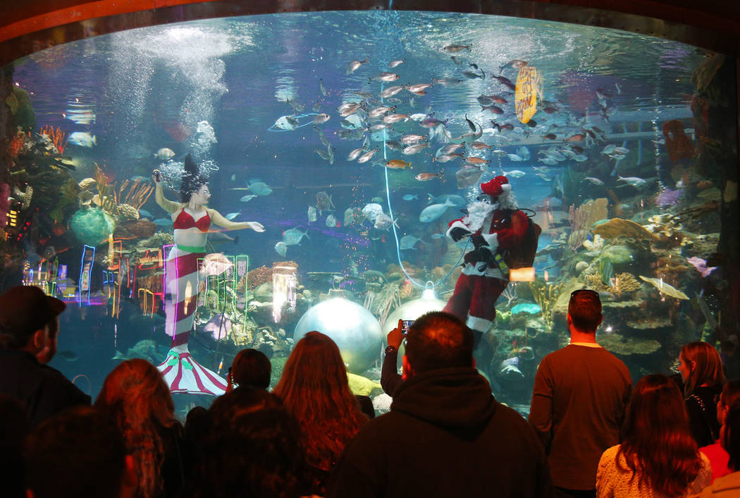 Underwater Santa y la sirena navideña saludan a la multitud en el hotel y casino Silverton en Las Vegas, el domingo 2 de diciembre de 2018. Están en el acuario todos los sábados y domingos de d ...