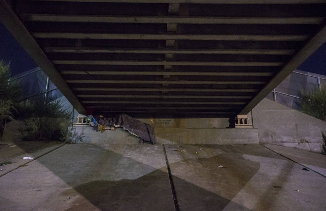 Una persona sin hogar duerme debajo de un paso subterráneo a lo largo de la avenida Owens mientras que el Censo anual de personas sin hogar del sur de Nevada se lleva a cabo en Las Vegas el marte ...
