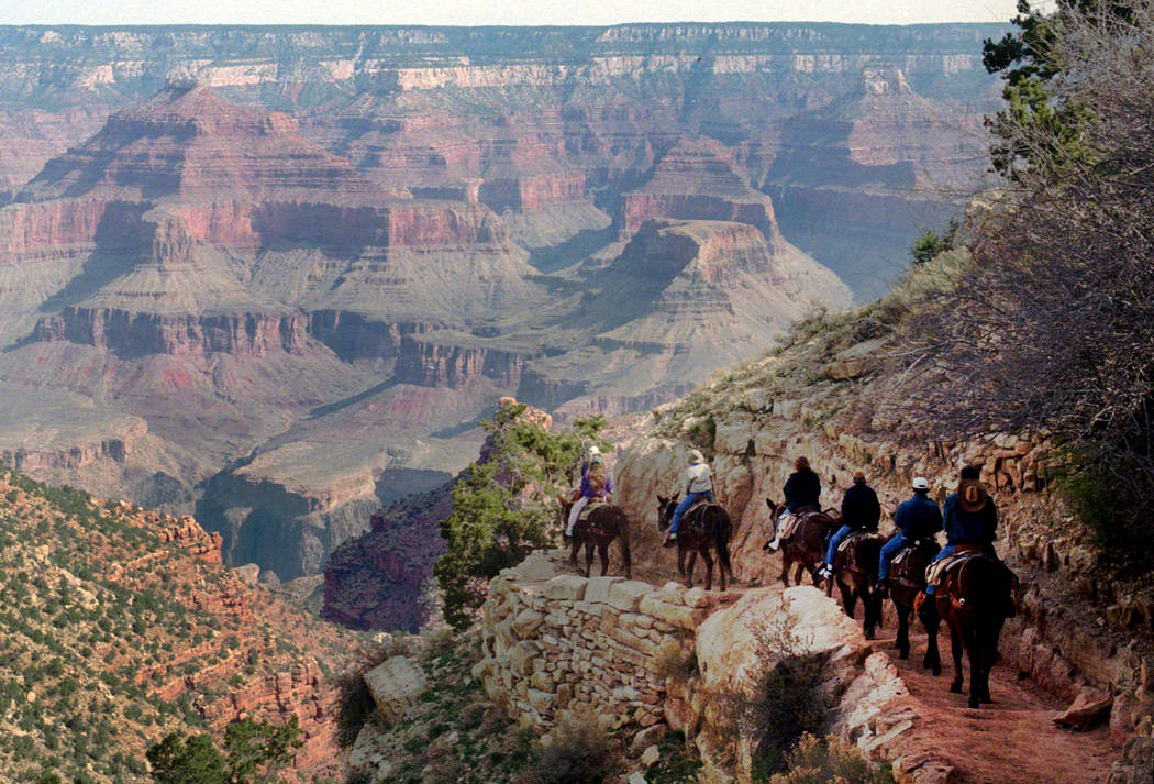 En esta foto de archivo del 27 de marzo de 1996, un tren de mulas serpentea por el sendero Bright Angel en el Parque Nacional del Gran Cañón, Arizona. El Gran Cañón celebra sus 100 años como ...