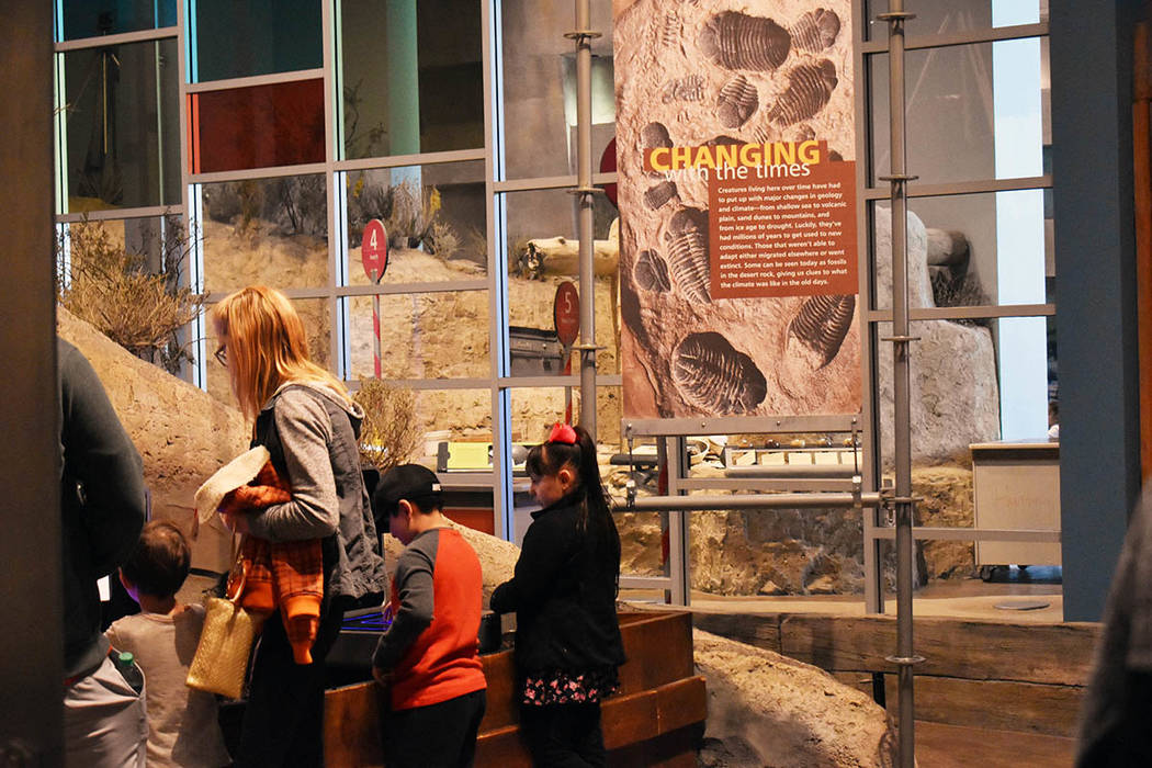 La evolución de la vida en el desierto es explicada con fósiles en el Museo de Nevada. Domingo 24 de febrero de 2019 en el Springs Preserve. Foto Frank Alejandre / El Tiempo.