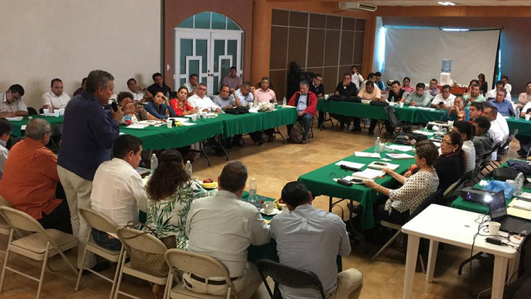 ARCHIVO. Acapulco, 21 Ene 2019 (Notimex-Especial).- La Sección 14 del Sindicato Nacional de Trabajadores de la Educación exhortó a los docentes del estado de Guerrero a participar en la Consult ...