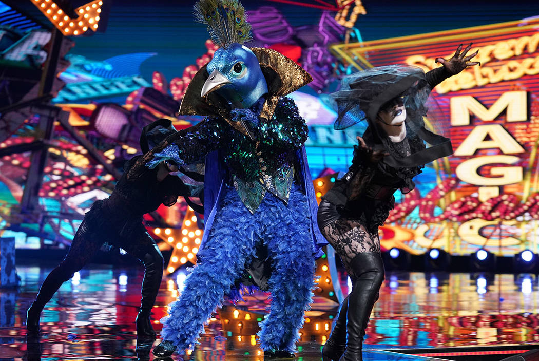 Se ve al Pavo real "The Masked Singer" (Michael Becker / Fox)