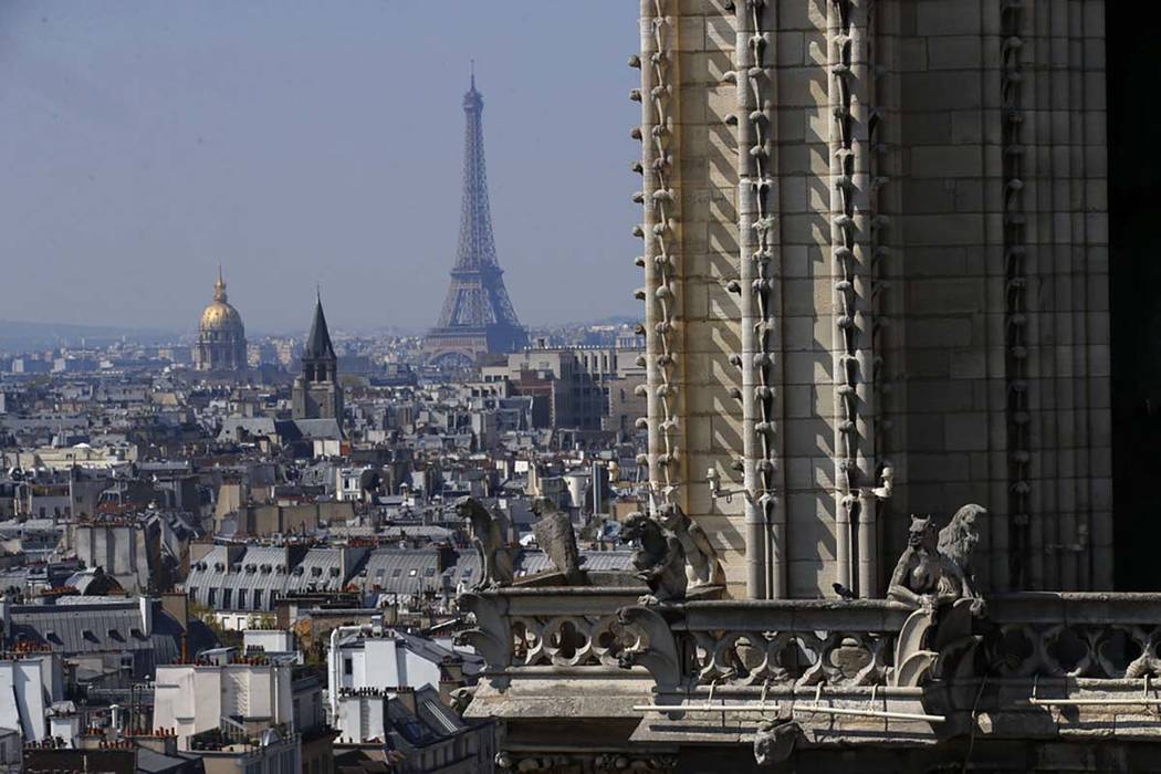 Vista desde la parte superior de la Catedral de Notre Dame de París con la Torre Eiffel en seg ...