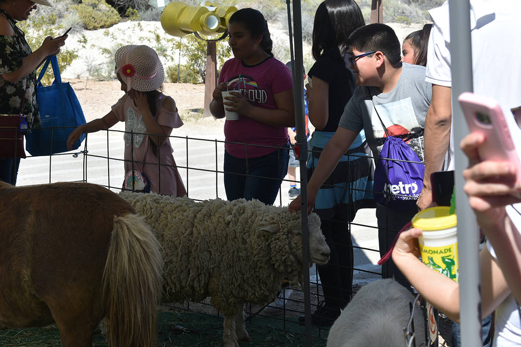 El zoológico para infantes fue una de las actividades más disfrutadas por los asistentes. Sábado 27 de abril de 2019 en Springs Preserve. Foto Anthony Avellaneda / El Tiempo.