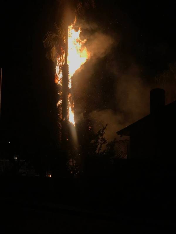 Una palmera en una casa en Monroe Avenue y N Street estaba ardiendo el jueves, 4 de julio de 20 ...