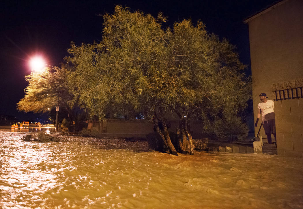 Jonathan Smedley atraviesa aguas de inundación con ramas de árboles rotas para ayudar a sus v ...