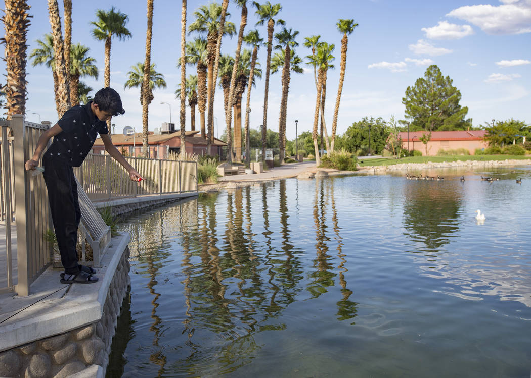 Ángel Casares, de 15 años, pesca en el estanque del parque Lorenzi en Las Vegas, el domingo 4 ...