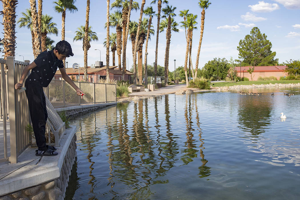 Ángel Casares, de 15 años, pesca en el estanque del parque Lorenzi en Las Vegas, el domingo 4 ...