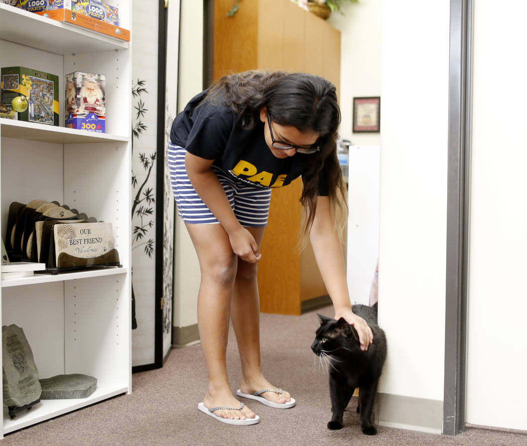 Anaisa Maestas, de 13 años, acaricia un gato en el Rescued Treasures Cat Cafe el martes, 6 de ...