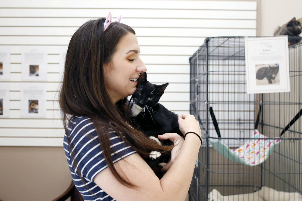 La voluntaria Kali Waddilove, sostiene un gatito adoptable en el Rescued Treasures Cat Cafe el ...