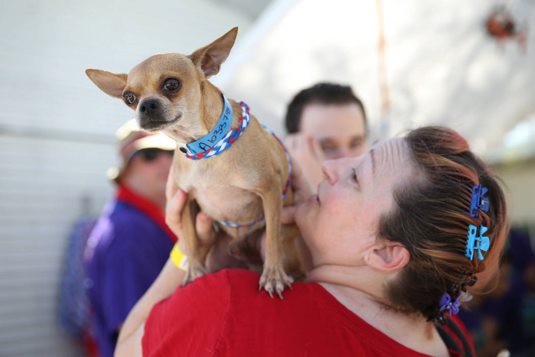 Karen Hughes de Las Vegas sostiene a un perro que le interesó adoptar durante el evento nacion ...