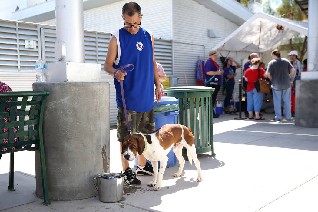 Jesús Chávez de Las Vegas pasea a un perro en su búsqueda por encontrar una mascota para su ...