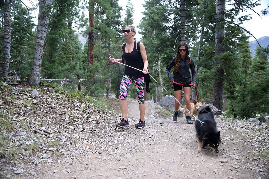Las residentes de Las Vegas, Laura Mitchell, a la izquierda, y Mehka Klimer, con los perros de ...