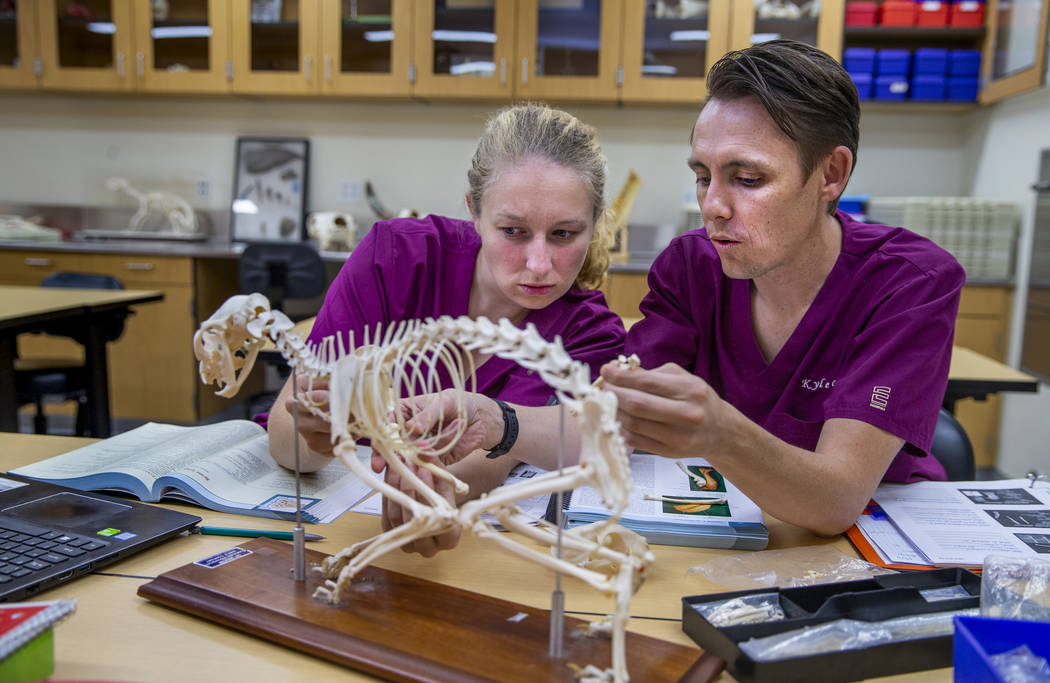Los estudiantes de primer año Victoria Geithman, izquierda, y Kyle Granger estudian los huesos ...