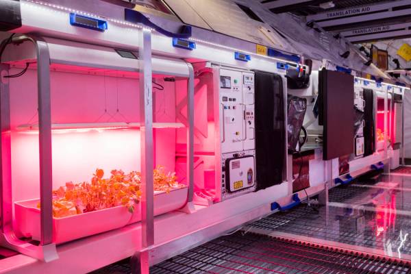 Jardines de vegetales en B330 Mars Transporter Testing Unit en Bigelow Aerospace en North Las V ...