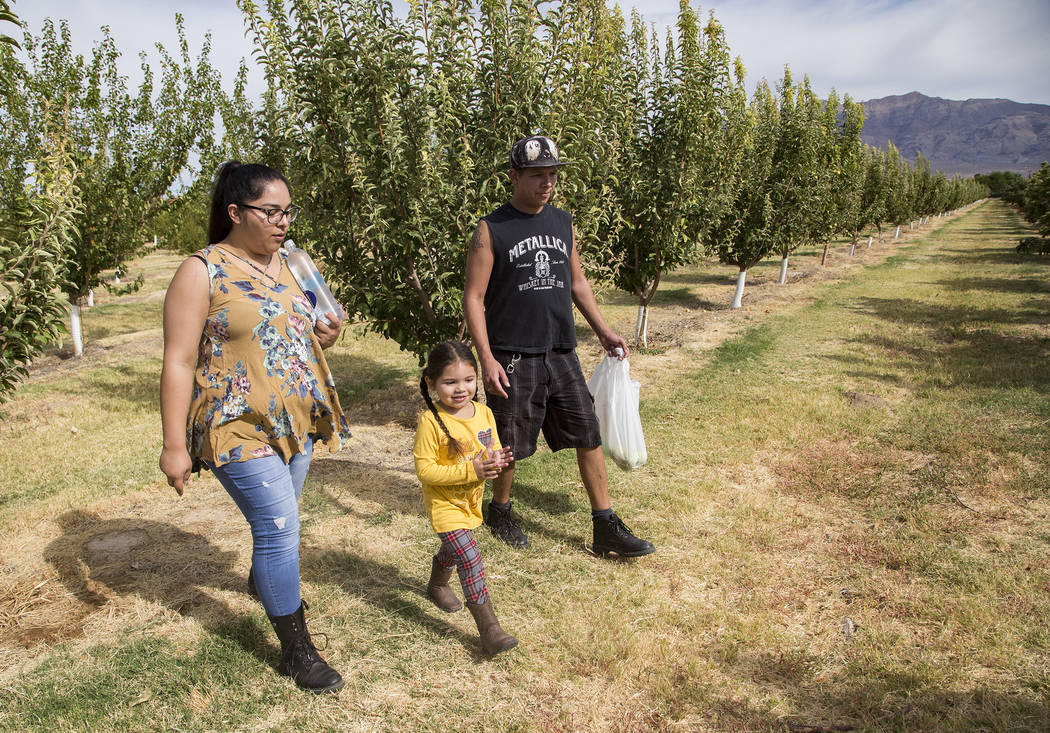 Gennive Banda, su esposo, Jerry Reyes, y su hija caminan por el campo en Gilcrease Orchard en L ...