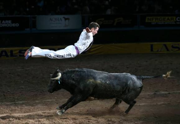 El profesional de Bull Jumping, Emmanuel Lataste, salta sobre un toro corriendo durante una pre ...