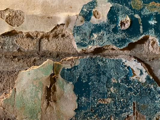 Pintura caída y deteriorada en las paredes del histórico Teatro Huntridge fotografiado el jue ...