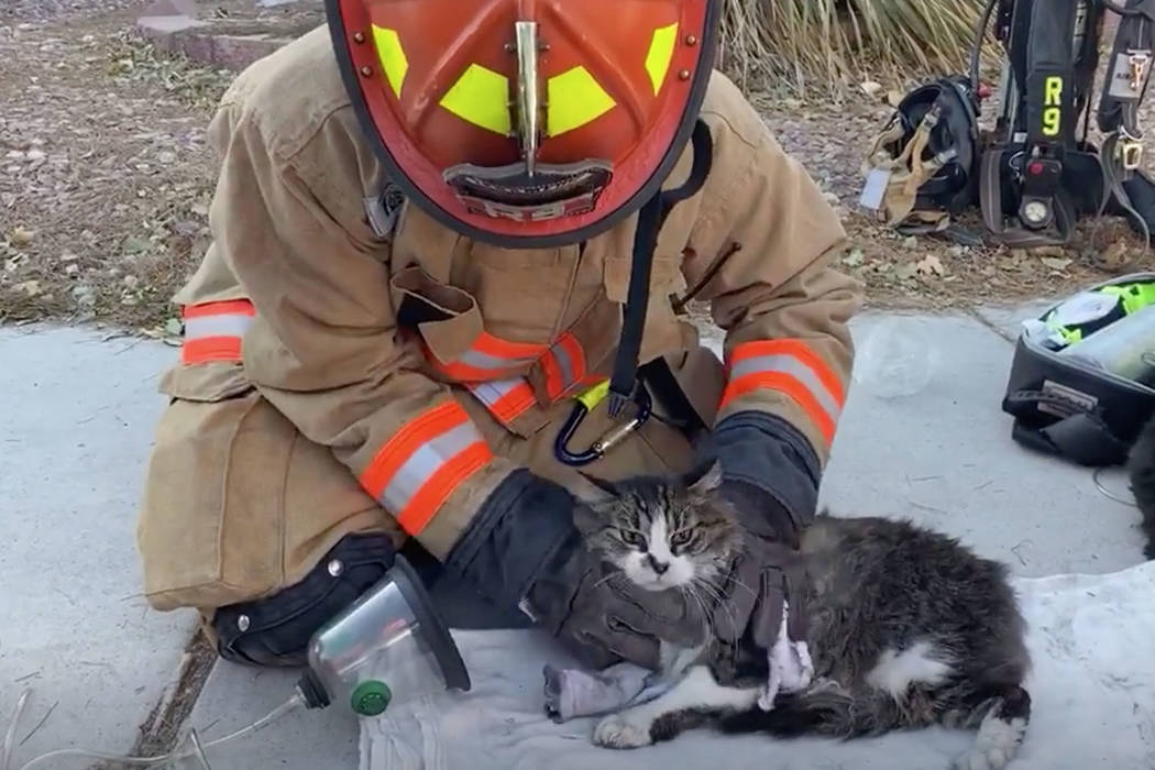 Un bombero de Las Vegas le da oxígeno a un gato rescatado del incendio de una casa en el noroe ...