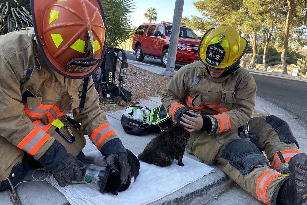 Un bombero de Las Vegas le da oxígeno a gatos rescatados del incendio de una casa en el noroes ...