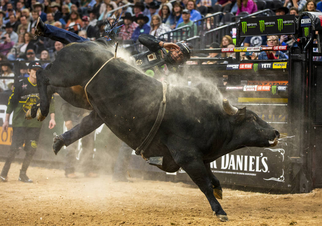 Luciano De Castro es aventado por Gangster Party durante las Finales Mundiales de PBR en T-Mobi ...