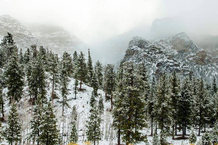 El pronóstico de la semana de Acción de Gracias es de ocho a 25 pulgadas de nieve posible por ...