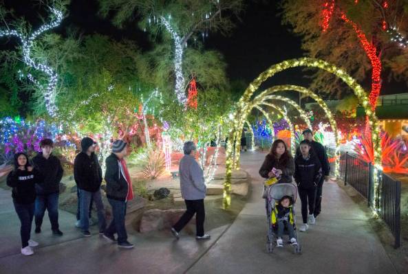 Visitantes disfrutan de las luces en el Jardín Botánico de Cactus Ethel M Chocolates el lunes ...