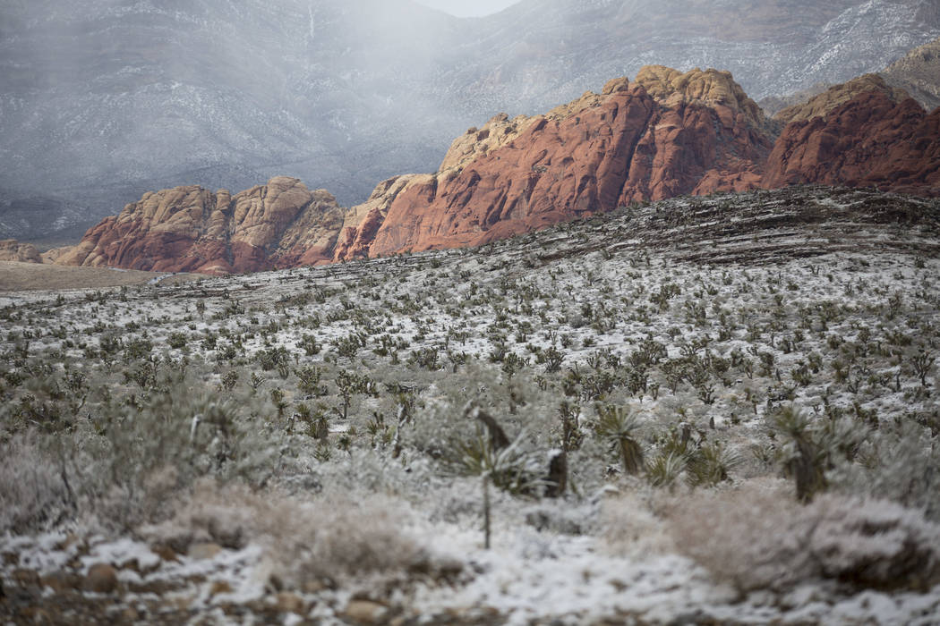 La nieve se acumula en el mirador del Cañón Red Rock el viernes, 23 de febrero de 2018, cerca ...