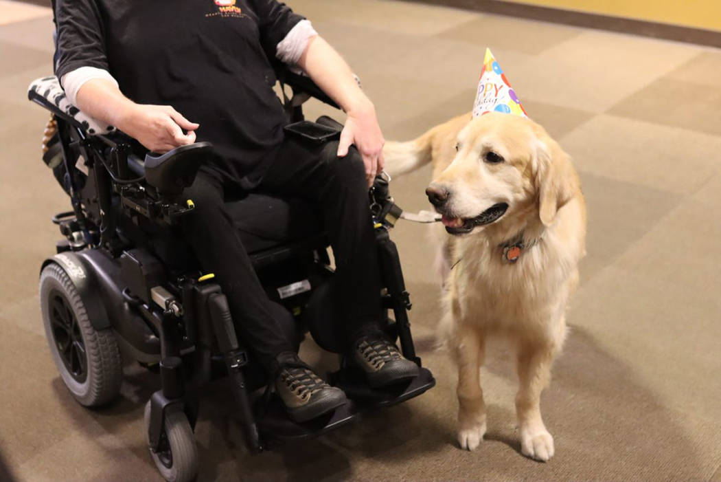 Wonka, un perro local de servicio y asistencia, llegando a su fiesta sorpresa de celebración d ...