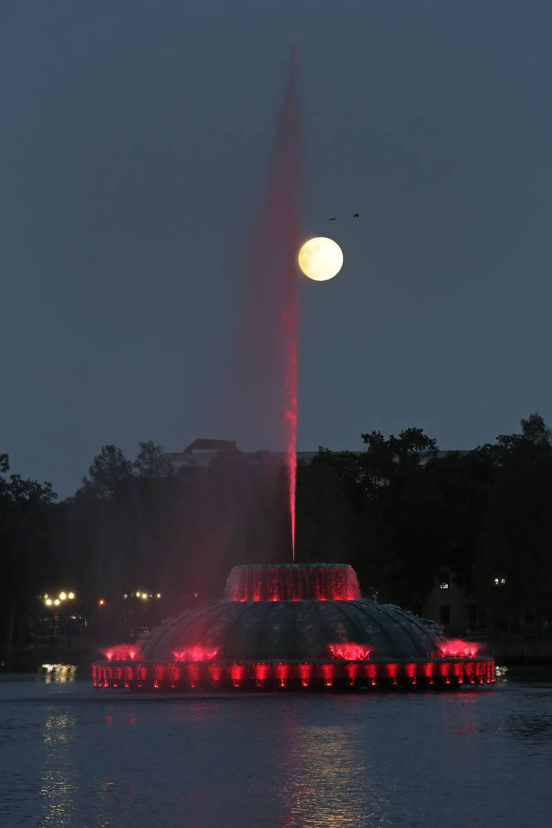 La superluna se eleva en el cielo frente a una fuente en el Lago Eola el martes, 7 de abril de ...