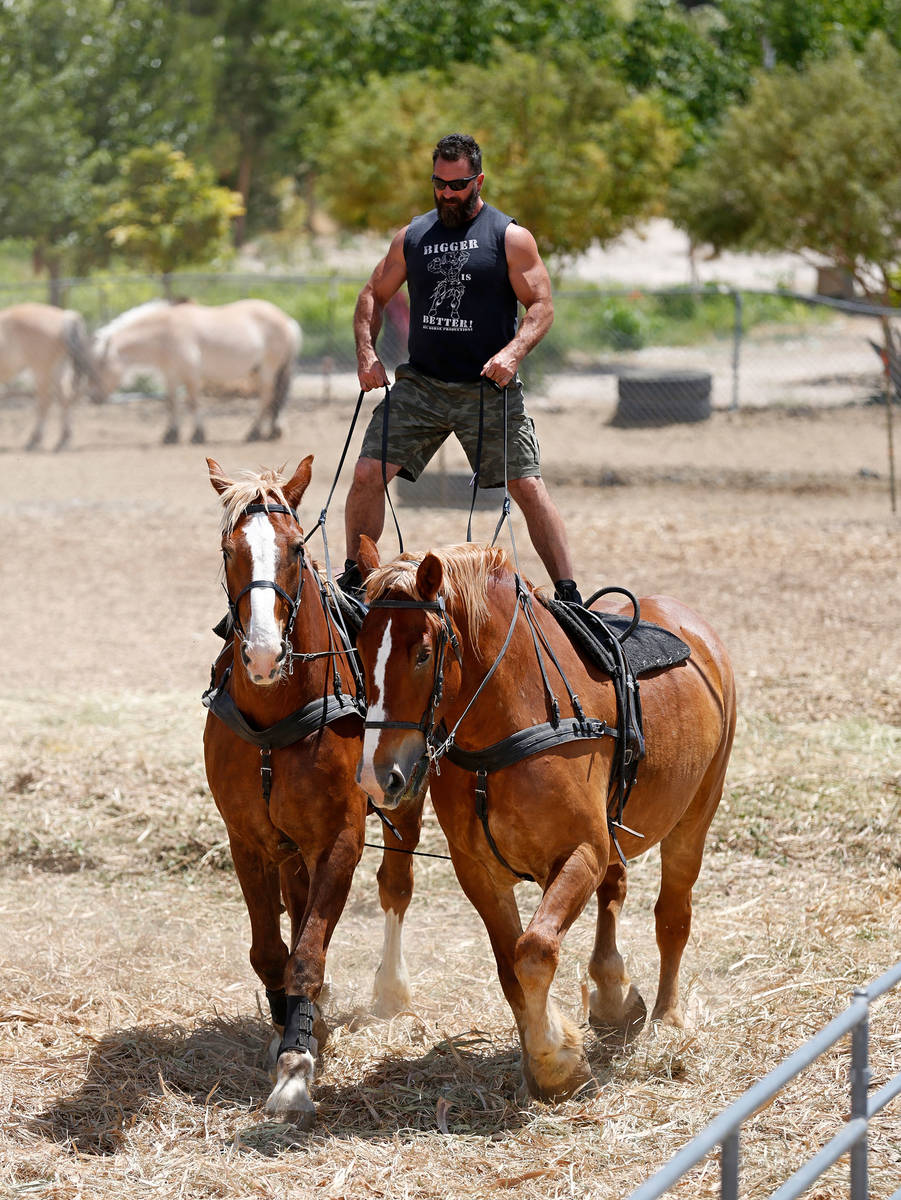 El copropietario de Gladius The Show, Erik Martonovich, monta dos caballos, Cannon y Thunder, d ...