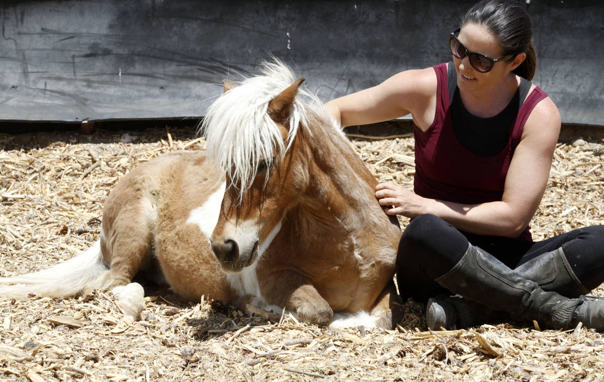 La copropietaria de Gladius The Show, Alethea Shelton, se sienta con Spirit, un caballo en mini ...
