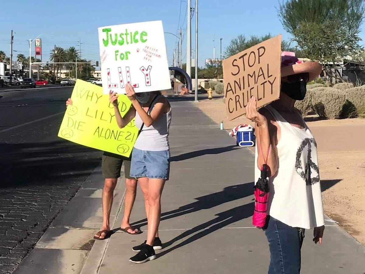Manifestantes frente al ayuntamiento de North Las Vegas el miércoles para pedir cargos por del ...