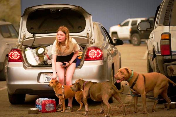 Kelsey Mueller, de 16 años, de Armona, California, acaricia a sus perros mientras espera con s ...