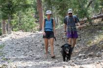 Un lugar para tratar de soportar el calor de 2020 fue el Monte Charleston. Mary Felker y Herb P ...