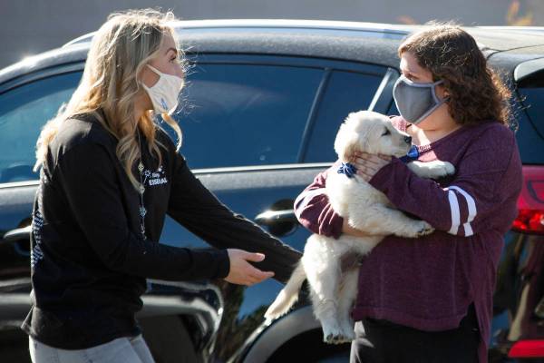 Lauren Cleveland, de dieciocho años de edad, derecha, recibe a Casper, un cachorro golden retr ...