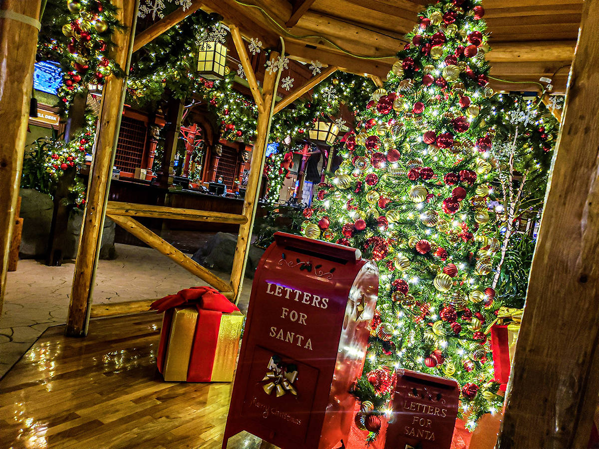 La temporada decembrina será alegre y brillante con Mystic Falls Park® que ofrece una decorac ...